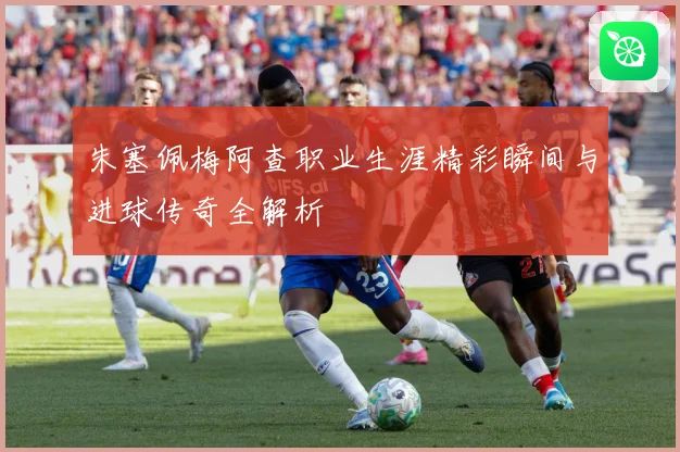 朱塞佩梅阿查职业生涯精彩瞬间与进球传奇全解析