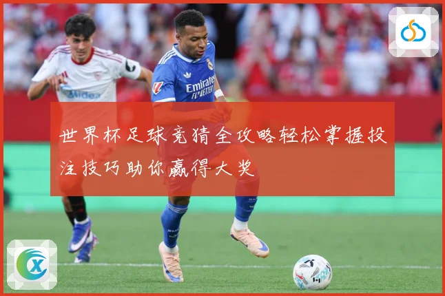 世界杯足球竞猜全攻略轻松掌握投注技巧助你赢得大奖